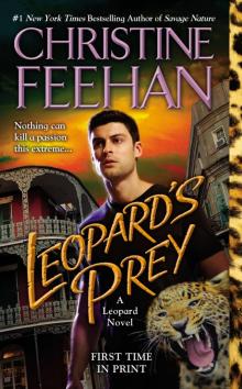      Leopard's Prey