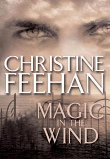      Magic in the Wind