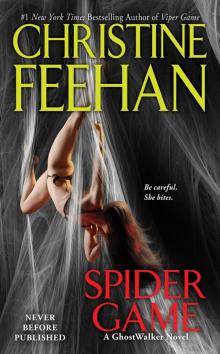     Spider Game
