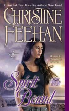      Spirit Bound