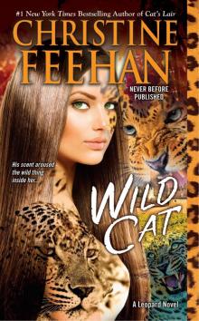      Wild Cat