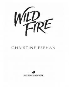      Wild Fire