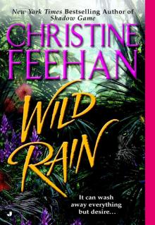      Wild Rain
