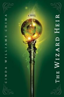     The Wizard Heir