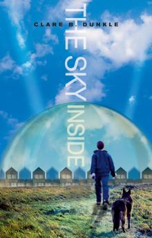      The Sky Inside