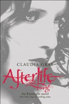      Afterlife