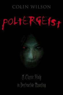      Poltergeist: A Classic Study in Destructive Haunting