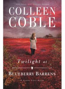      Twilight at Blueberry Barrens