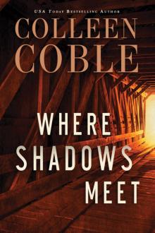      Where Shadows Meet