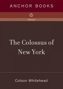      The Colossus of New York