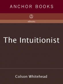      The Intuitionist