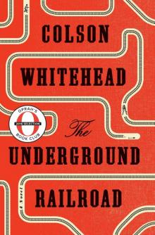      The Underground Railroad