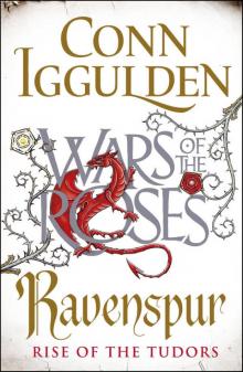      Ravenspur: Rise of the Tudors