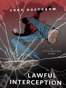      Lawful Interception