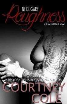      Necessary Roughness