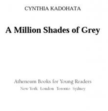      A Million Shades of Gray