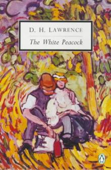      The White Peacock