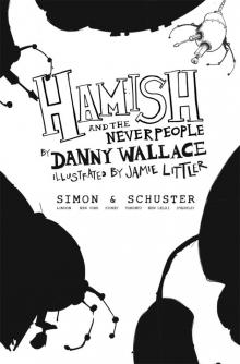      Hamish and the Neverpeople