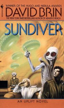      Sundiver