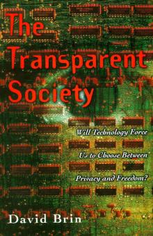      The Transparent Society