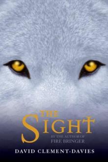      The Sight