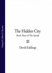      The Hidden City