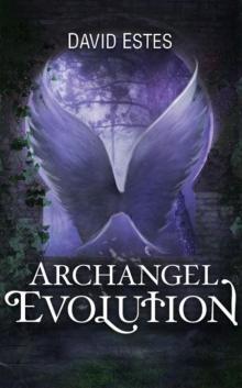      Archangel Evolution