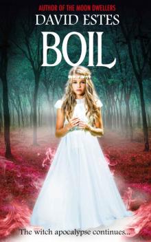      Boil (Salem's Revenge Book 2)