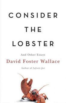      Consider the Lobster: And Other Essays