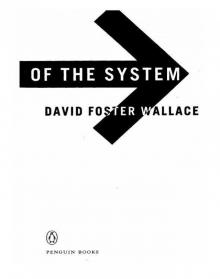      The Broom of the System