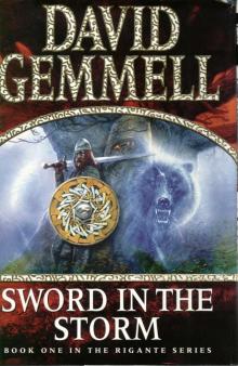     Sword in the Storm