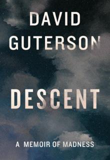     Descent: A Memoir of Madness