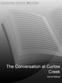      The Conversations At Curlew Creek
