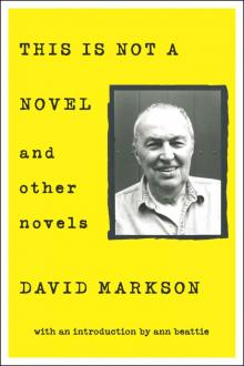      This is Not a Novel and Other Novels