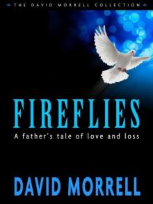      Fireflies: A Father's Classic Tale of Love and Loss