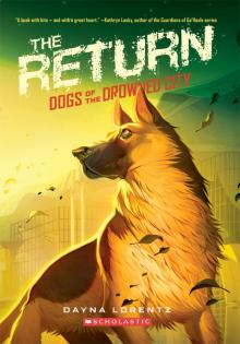      The Return