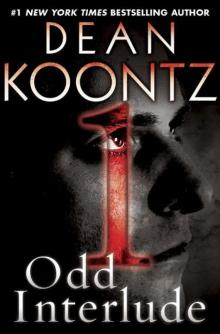      Odd Interlude #1