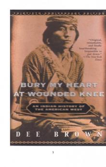      Bury My Heart At Wounded Knee