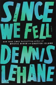      Since We Fell