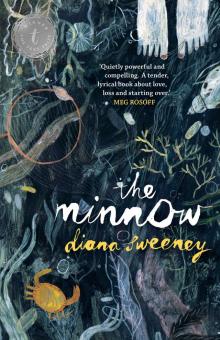      The Minnow