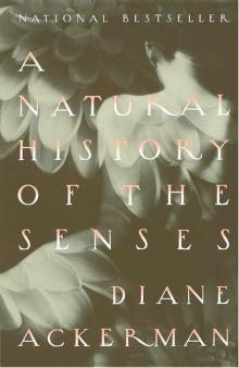      A Natural History of the Senses