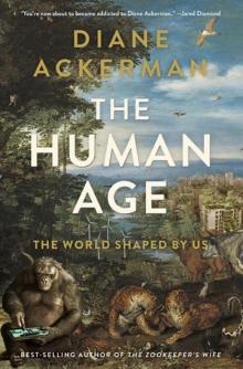      The Human Age: The World Shaped by Us