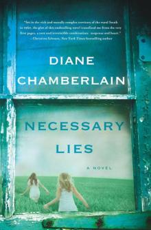      Necessary Lies