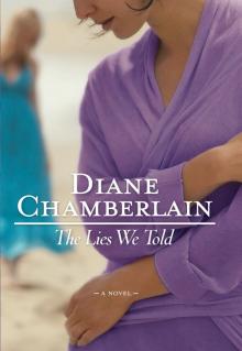      The Lies We Told