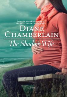      The Shadow Wife