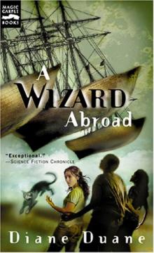      A Wizard Abroad