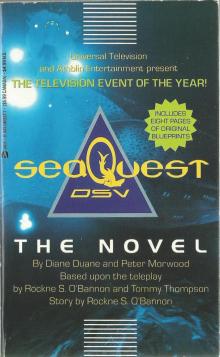      Seaquest DSV