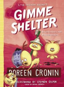      Gimme Shelter