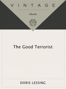      The Good Terrorist
