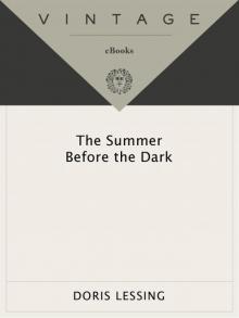      The Summer Before the Dark